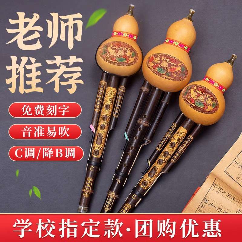 葫芦丝乐器初学者C调降B调F调防摔儿童小学生专用七孔紫竹胡葫丝