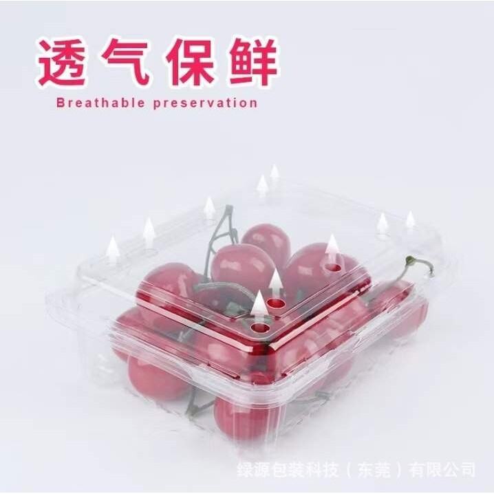一次性水果包装盒荔枝龙眼砂糖橘枇杷草莓盒超市水果店透明塑料盒