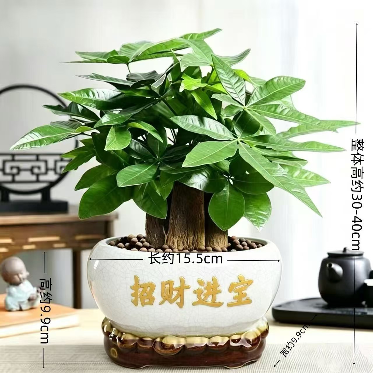 三杆发财树陶瓷盆盆栽 办公室桌面绿植乔迁开业招财易养护盆景