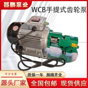 铸铁机油汽柴油输送泵 电动抽油泵 极速WCB75手k提齿轮泵 可携式