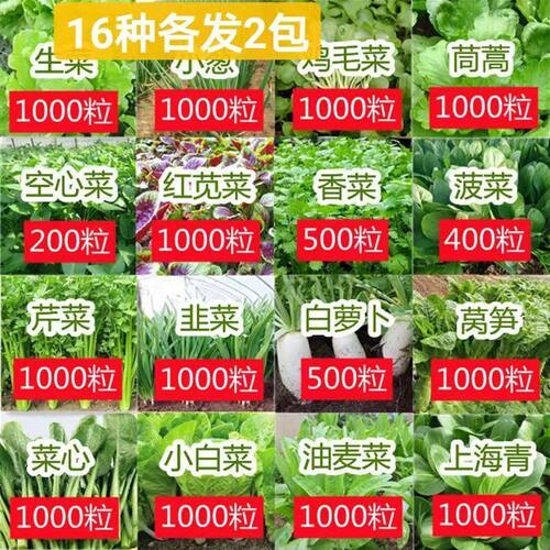 16种开春蔬季春菜子套餐丝瓜黄瓜辣椒HICRAET豆角蔬玉种米茄子农