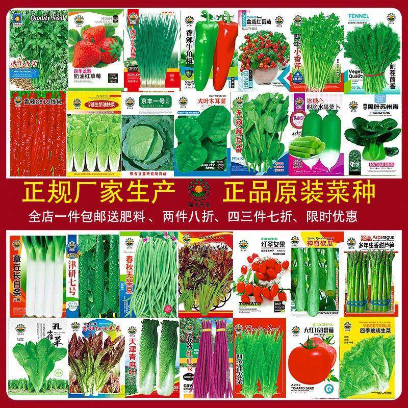 四季蔬菜种子适合春播种植菜生菜香菜青菠菜萝卜阳台菜籽种肥大全