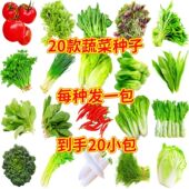 蔬菜种子四季 阳台盆栽番茄黄萝瓜生菜小葱卜籽孑大全香葱菜籽黄心