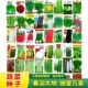 蔬菜子 蔬菜种子原装 四季 青蔬菜种子大全辣椒籽茄子生菜肥番茄春季