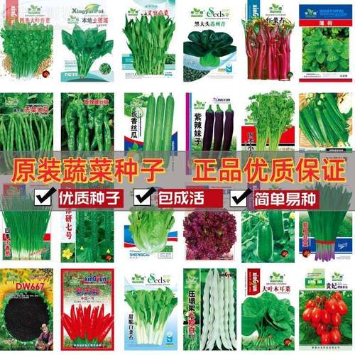 66豆种开春季春蔬菜子套餐丝瓜黄瓜辣椒HICR蔬EAT角玉种米茄子农