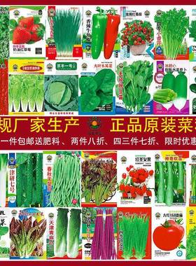 四季蔬菜种子适合春播种植物青菜生菜香菜菠菜萝卜阳台菜大全去虫