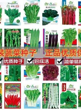 66种开春季春蔬菜子套餐丝瓜黄瓜辣椒ICR蔬EHAT豆角玉种米茄子农