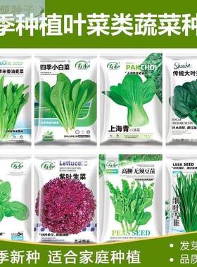 66种开春季春蔬菜子套丝瓜黄瓜辣椒HICR蔬EAT豆餐角玉种米茄子农