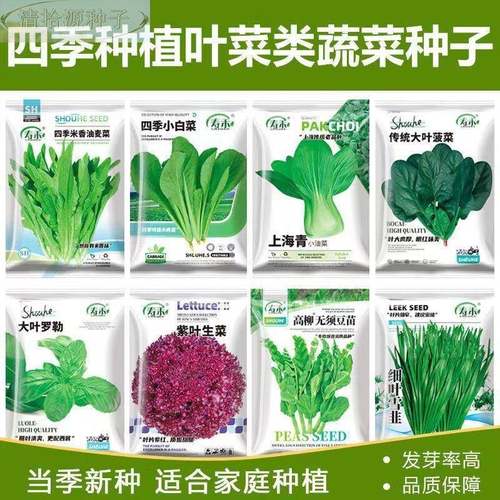 66种开春季春蔬菜子套丝瓜黄瓜辣椒HICR蔬EAT豆餐角玉种米茄子农