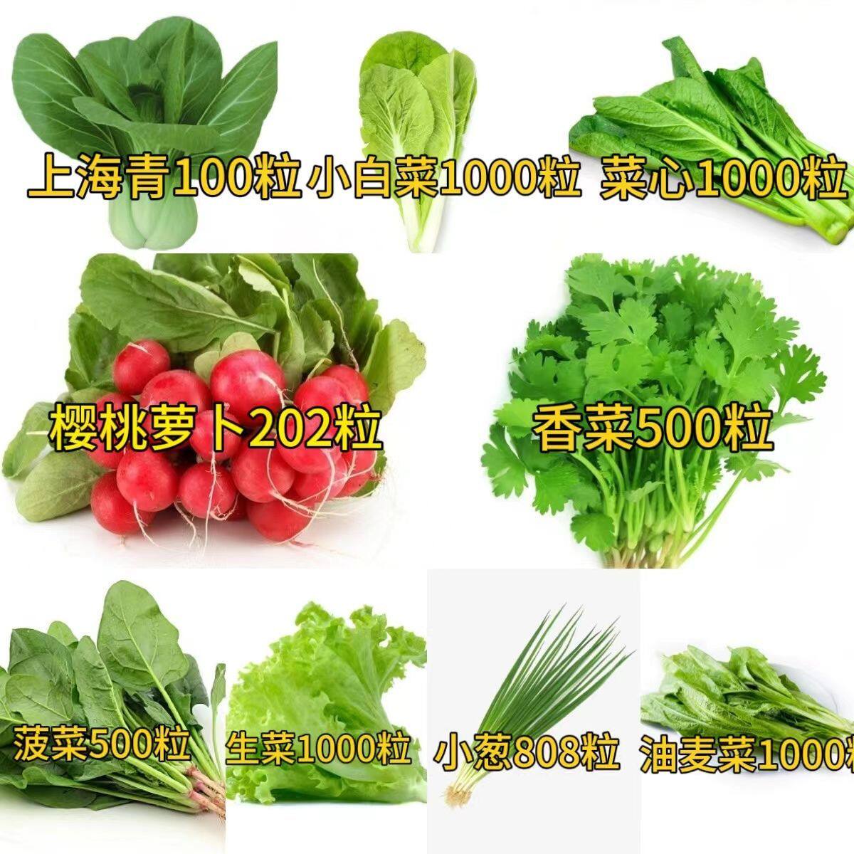 蔬菜种子大全四季适播西瓜甜瓜黄瓜番茄家庭阳台营养土露天种植菜