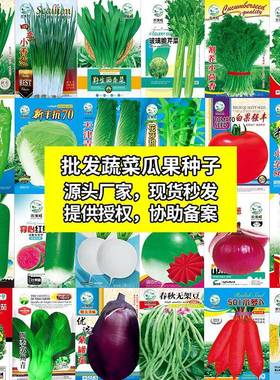 四季春夏秋季蔬菜种子瓜果种籽阳台盆栽营养土种菜园蔬菜种子大全