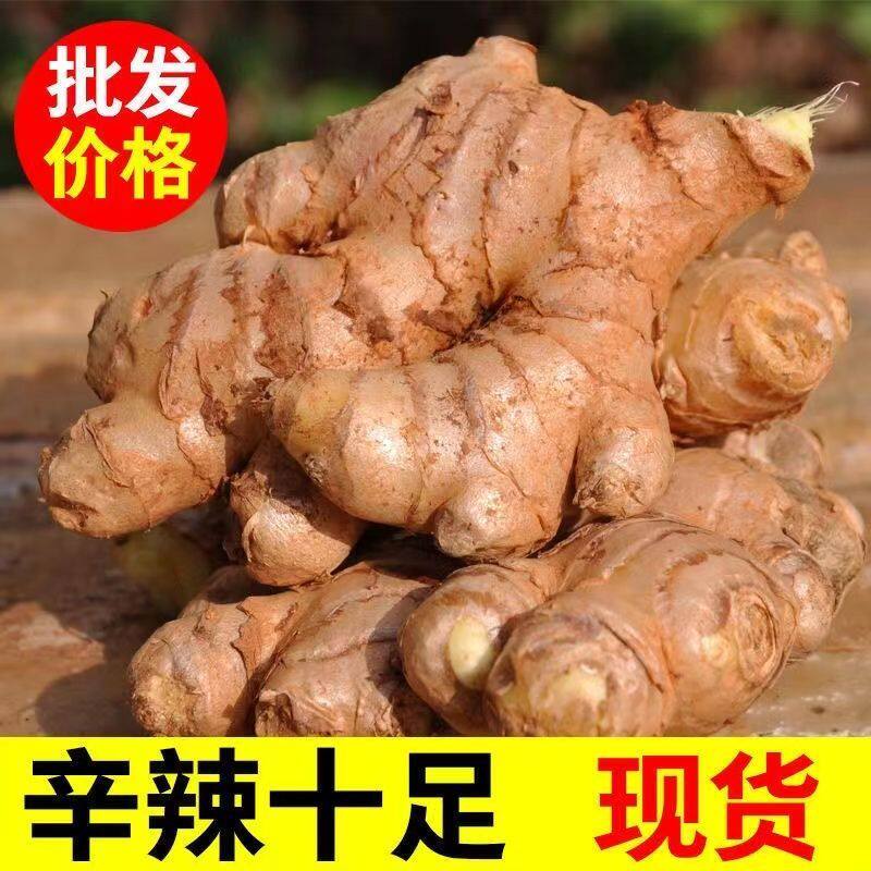 生姜正宗云南小黄姜新鲜土姜沙姜老姜种子现挖大颗春夏秋盆栽播种