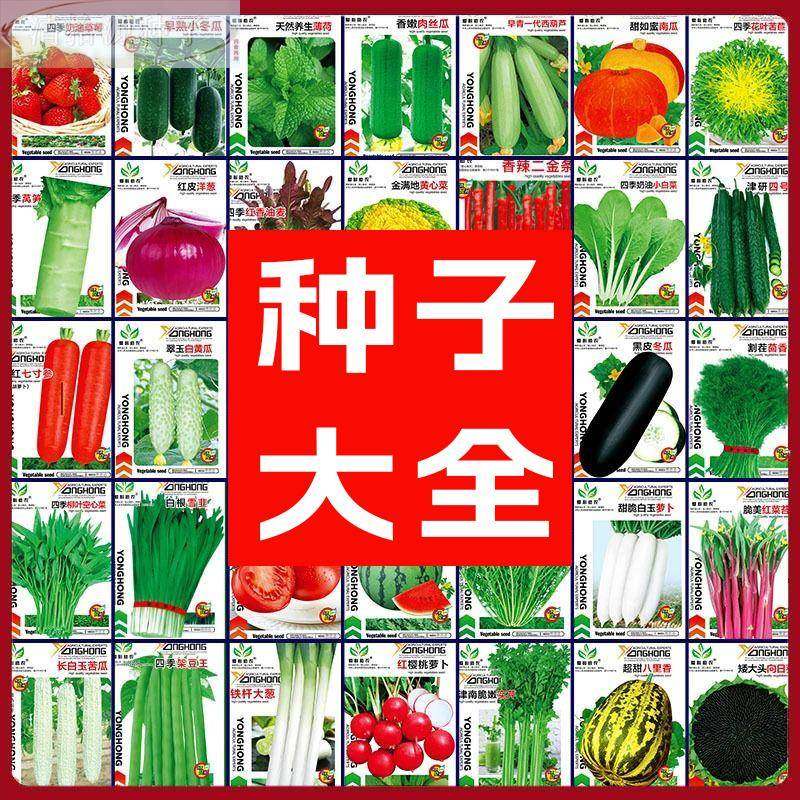 菜蔬菜种子大全生菜四季香菜小香葱鸡毛油麦萝卜菠菜籽孑空心辣椒