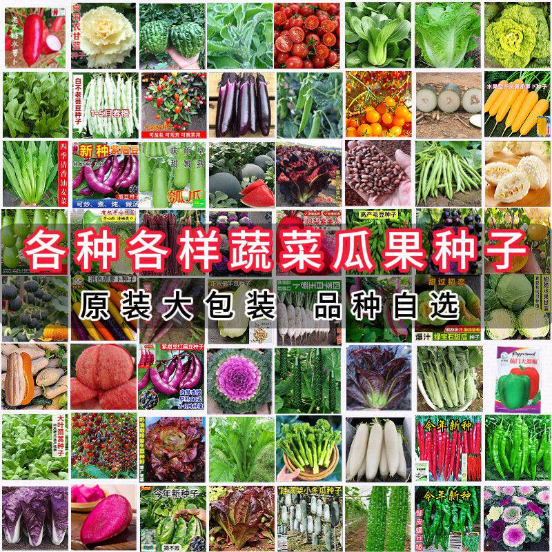 蔬菜种子豆角辣椒生菜葫芦黄瓜玉米白菜苗瓜果四季阳台无机肥种菜