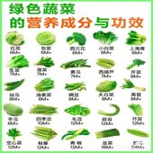 蔬菜种子春季 阳台植物菜大全番茄黄瓜生菜香菜葱辣椒盆栽种籽去虫