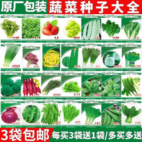 蔬菜种子葱籽大全菜种子生菜籽青菜阳台土壤盆栽菠菜韭菜香菜四季