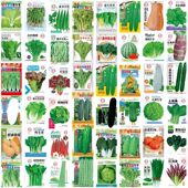 82种开春季 春蔬菜子茄植物种子套餐丝瓜黄瓜辣椒豆角蔬玉种米子农