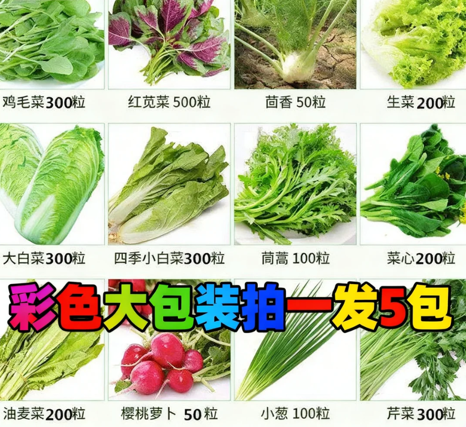 5包 蔬菜种子香菜菠蔬菜芹菜白菜辣椒南瓜生菜阳台盆栽土壤种菜籽