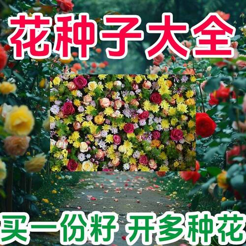 50款不重复花种子四季易种中小学幼儿园实验有机肥盆栽植物花草籽