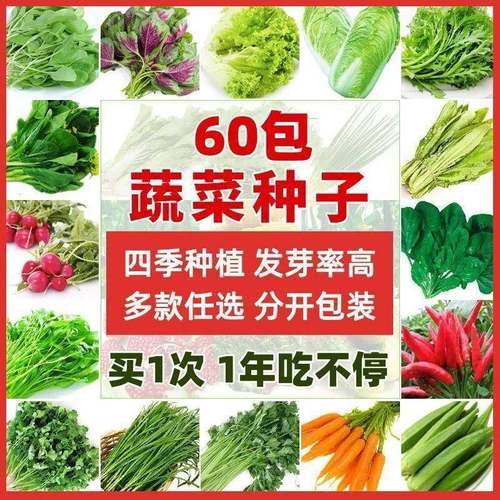 66种春季春蔬子套餐丝瓜黄开瓜辣菜椒HICR蔬EAT豆角玉种米茄子农