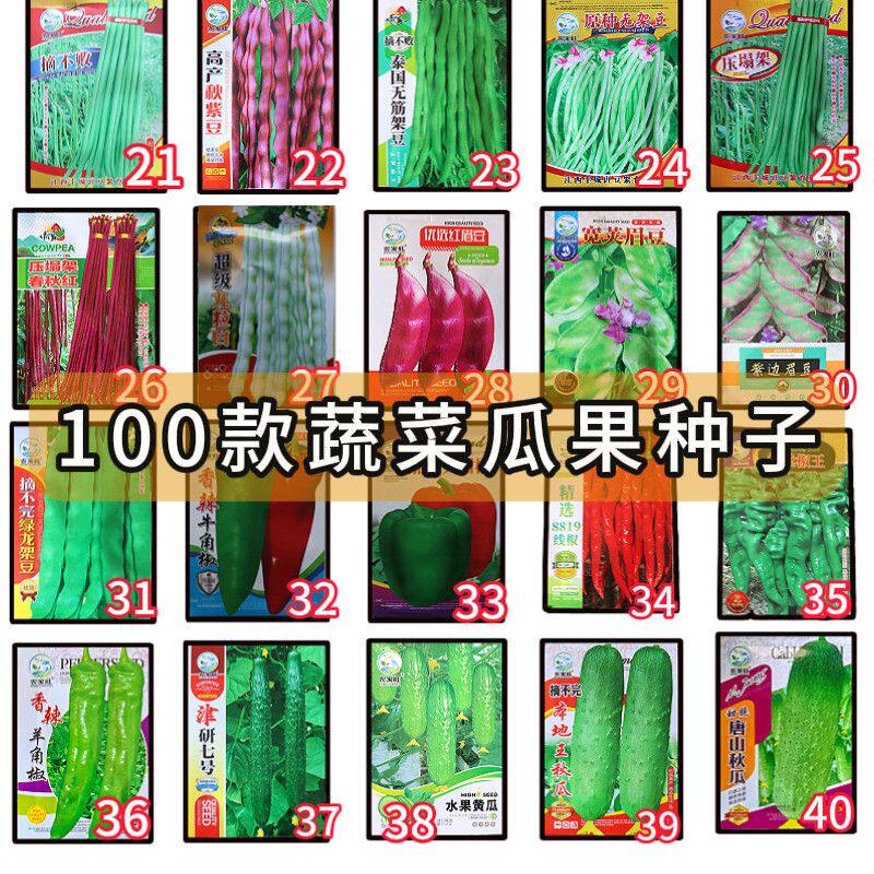 买1送1蔬菜种子豆角辣椒生菜葫芦黄瓜鸡毛菜阳台土壤盆栽菜籽四季