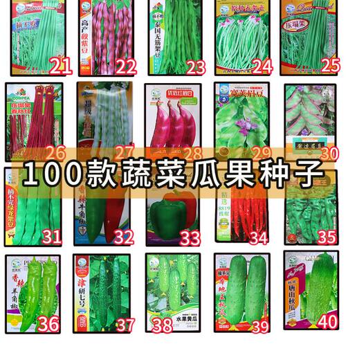 蔬菜种子香菜黄瓜番茄辣椒豆角四季豆植物生菜萝卜白菜籽大全去虫
