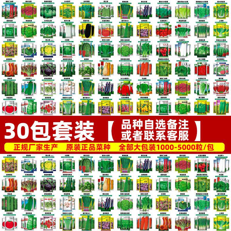 蔬菜种子四季播种植物萝卜香菜生菜葱蒜辣椒白菜种菜籽种大全去虫