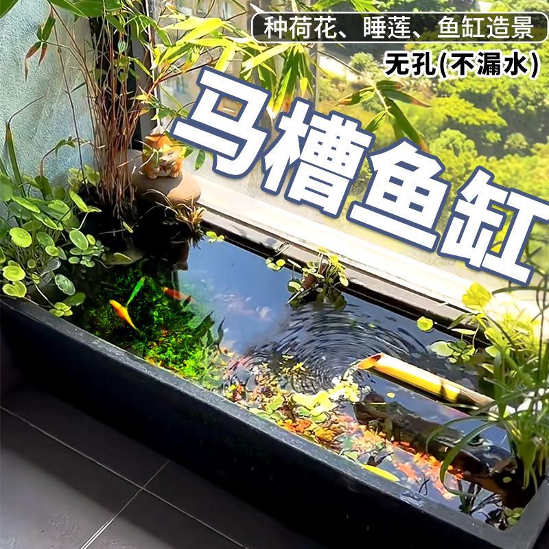 特大号鱼缸长方形紫砂粗陶花盆无釉马槽盆古法养鱼池睡莲阳台庭院