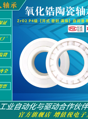 氧化锆全陶瓷轴承16000 16002 16005 16006 16010 16013CE 电绝缘