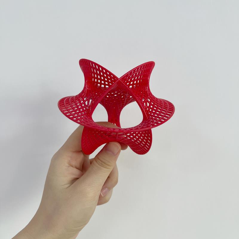 包邮卡拉比-丘流形空间模型拓扑学超弦理论 多维空间几何数学物理