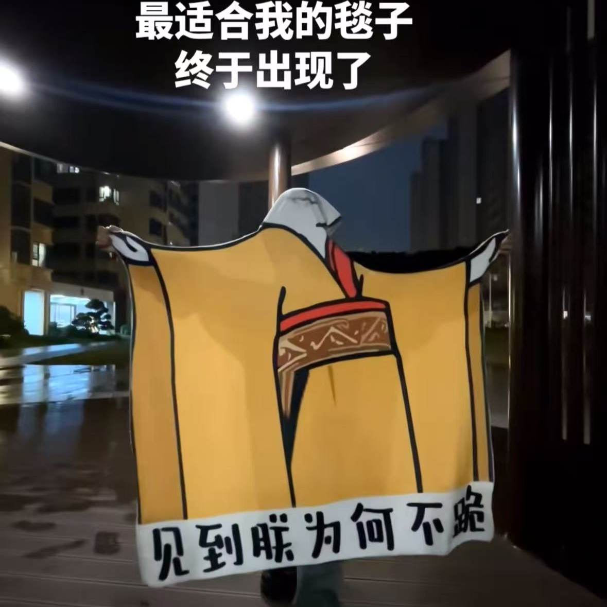 龙图见朕为何不跪搞怪毛毯