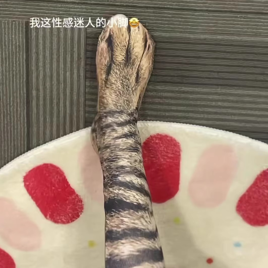 3D动物脚仿真袜子中筒袜