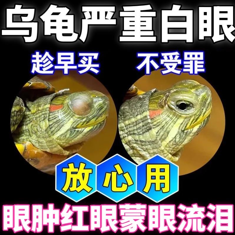 乌龟药白眼病专用药龟眼药蒙眼鳄龟巴西草龟南石龟白眼病红肿发炎