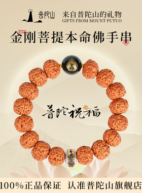 普陀山金刚菩提盘玩手串男女款原籽文玩核桃佛珠手链手持念珠配饰