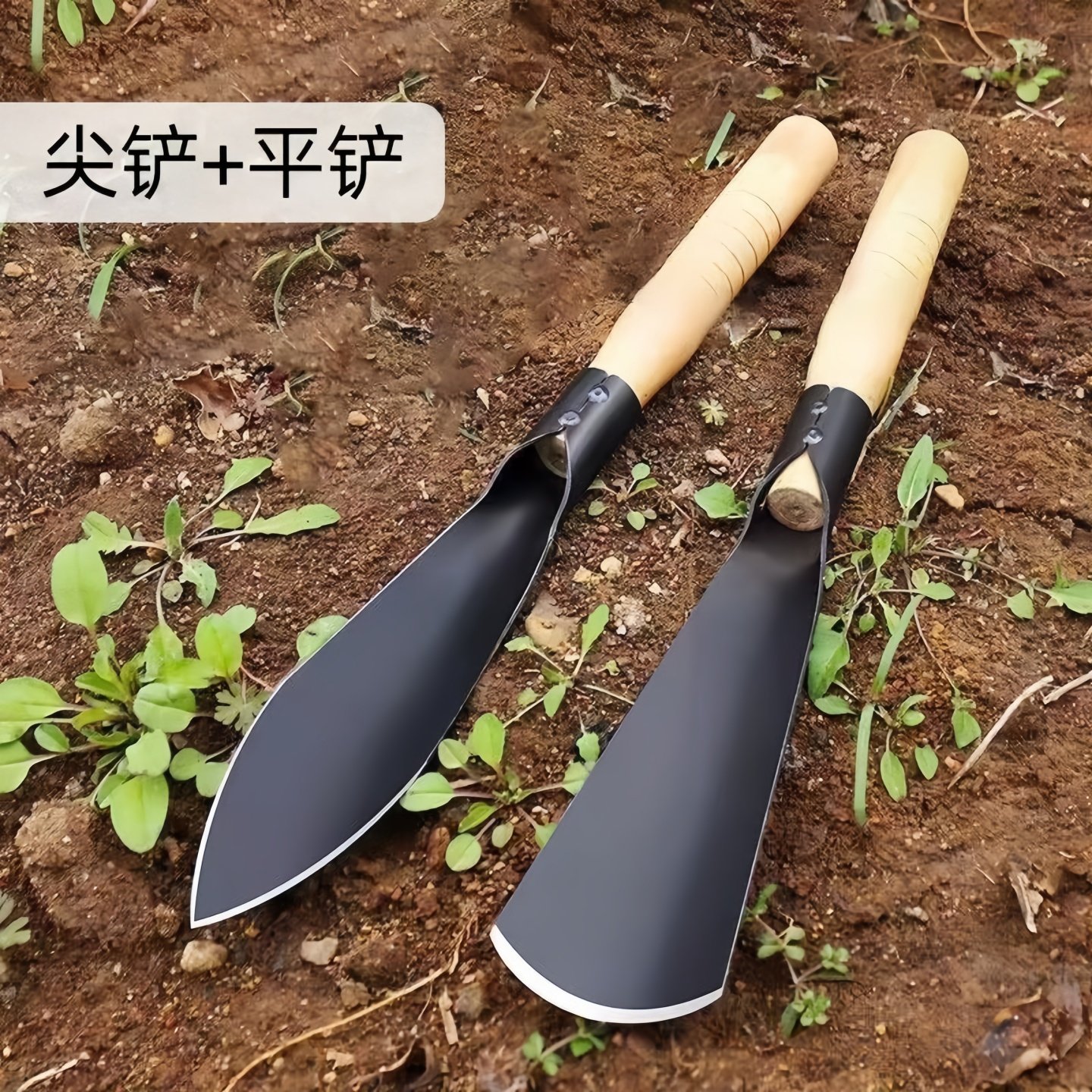 种菜神器锰钢小铲子种花养花种菜工具挖野菜花卉除草挖土种菜专用,鲜花速递/花卉仿真/绿植园艺,铲子,淘宝优惠券,粉丝福利购,淘宝优惠卷