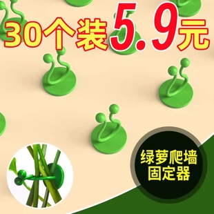 绿萝固定器绿植神器墙面绿箩固定花的卡扣爬藤吸盘攀藤勾夹扣上墙