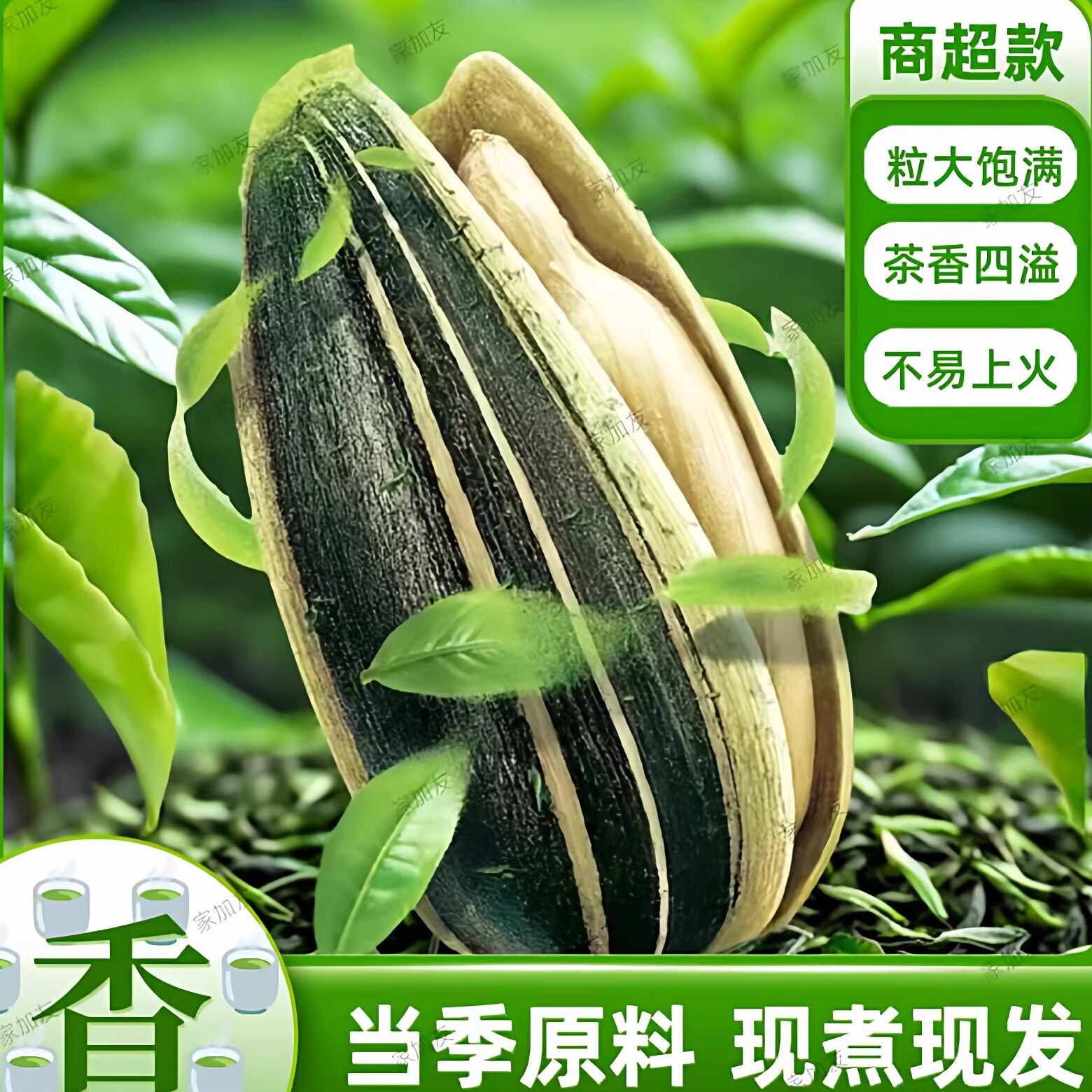 绿茶茉莉大颗粒瓜子野餐清单食物
