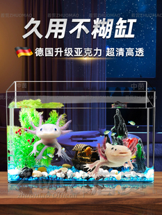 德国亚克力鱼缸六角恐龙专用缸美西蝾螈饲养缸生态造景小型客厅