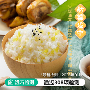 碱地二米饭大米玉米糁香糯米饭真空小包装五常玉米糁科学配比软糯