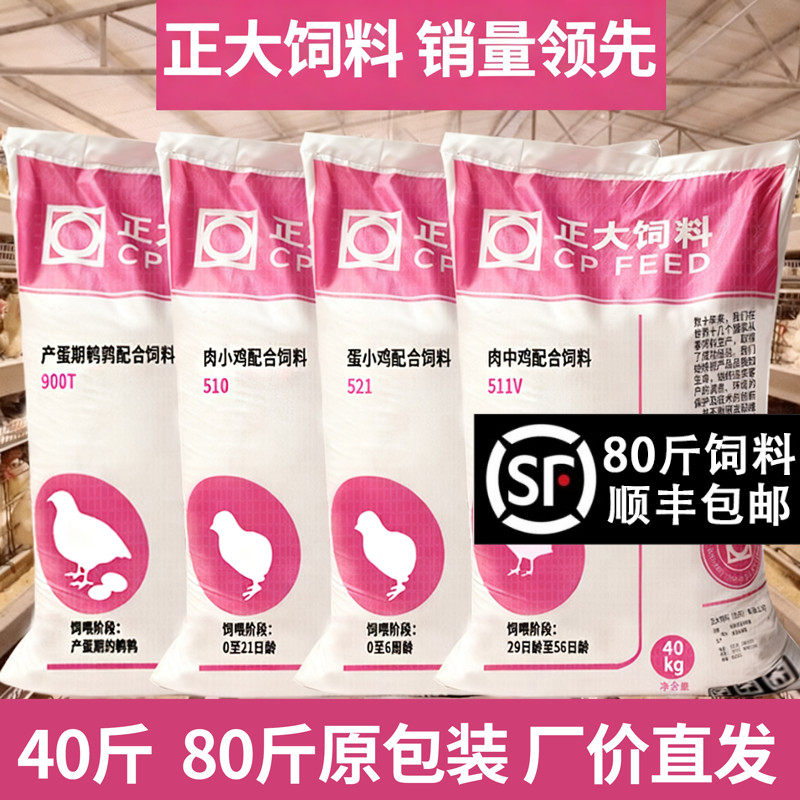正大鸡饲料小鸡521中大鸡产蛋鸡图片