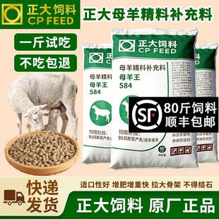 正大584母羊王母羊精料补充料产羔多胎儿发育好奶水足原厂发货