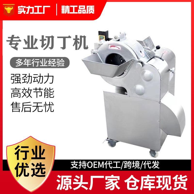 切肉丁机 商用电动果蔬萝卜土豆切丝切片机 牛羊肉微冻肉 切丁机