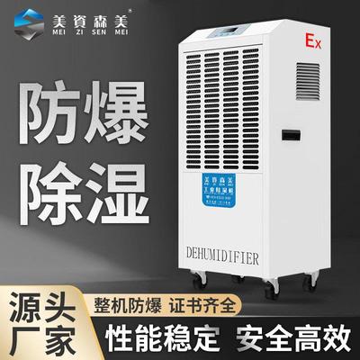 防爆工业除湿机烟花制造化工火药冶金喷漆医药车间仓库吸潮抽湿器