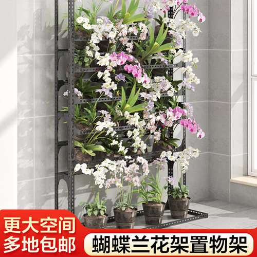 阳台花架子家用客厅花盆架花几蝴蝶兰专用多层落地置物架兰花层架