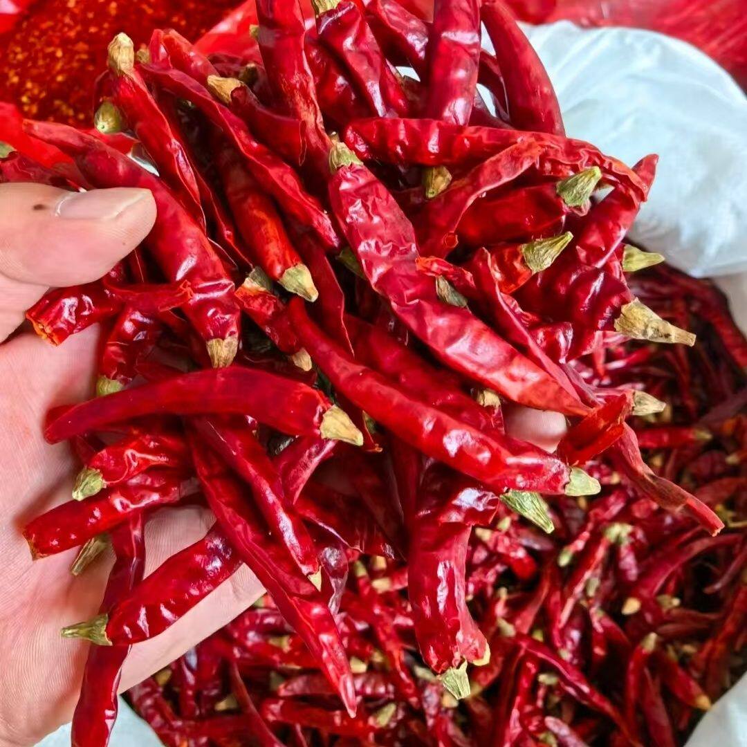 干辣椒辣椒批发特辣小米香辣魔鬼朝天椒辣椒粉大红辣椒晒干微辣