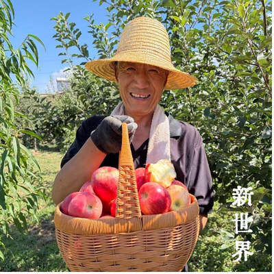 原生态农家自种夏苹果脆苹果糯苹果嘎啦、鲁丽、新世界、华硕