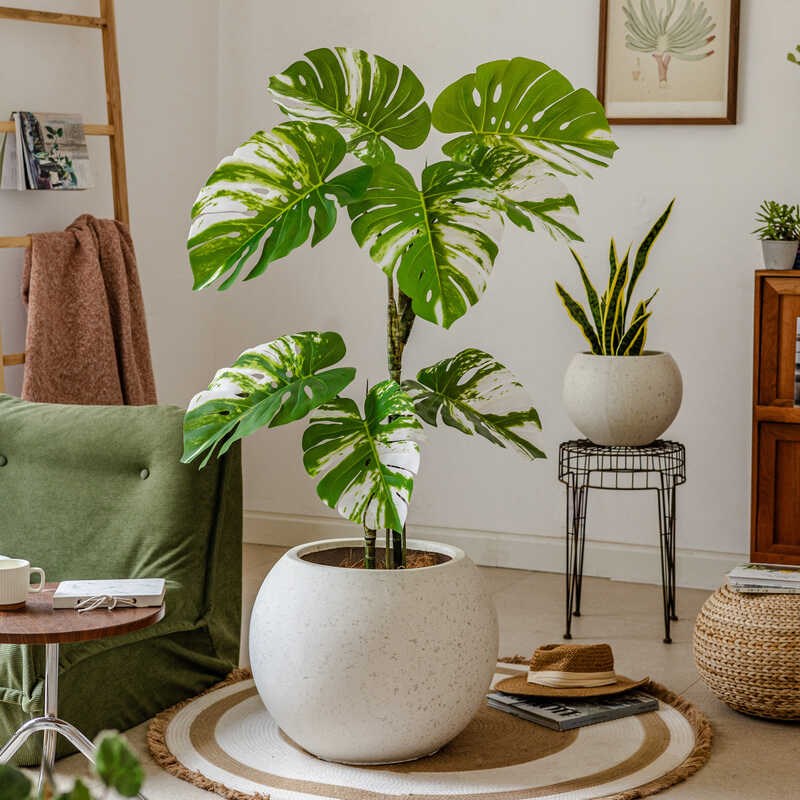 特大号落地花盆圆球形北欧简约轻奢客厅龙血树绿植龟背竹陶瓷花盆