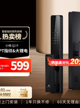 德施曼密码指纹锁家用防盗门全自动智能锁电子锁小嘀Q2P