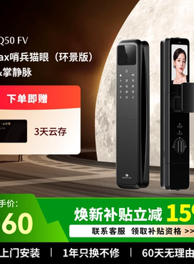 德施曼智能锁人脸识别密码锁指纹锁家用防盗门电子锁Q50FV