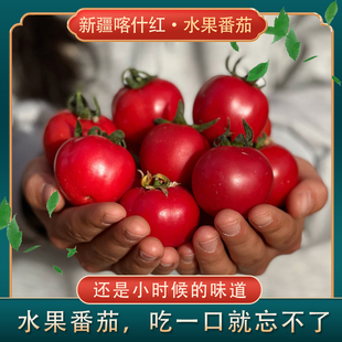 疆滋新疆喀什红水果番茄3斤精选礼盒装3斤宝宝果新疆伽师县西红柿